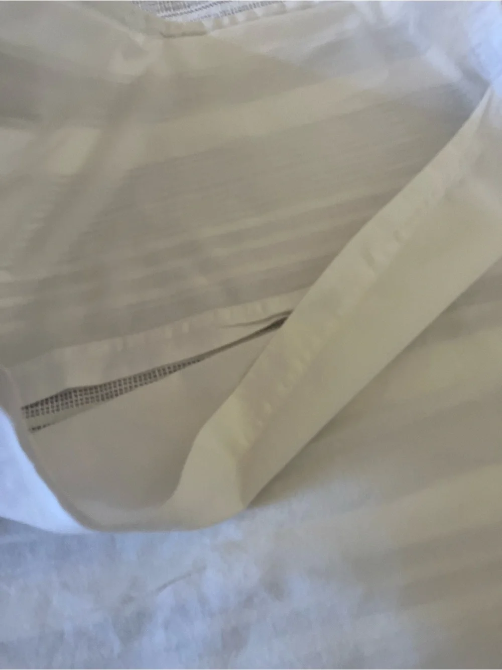 Pottery Barn pillow sham pair